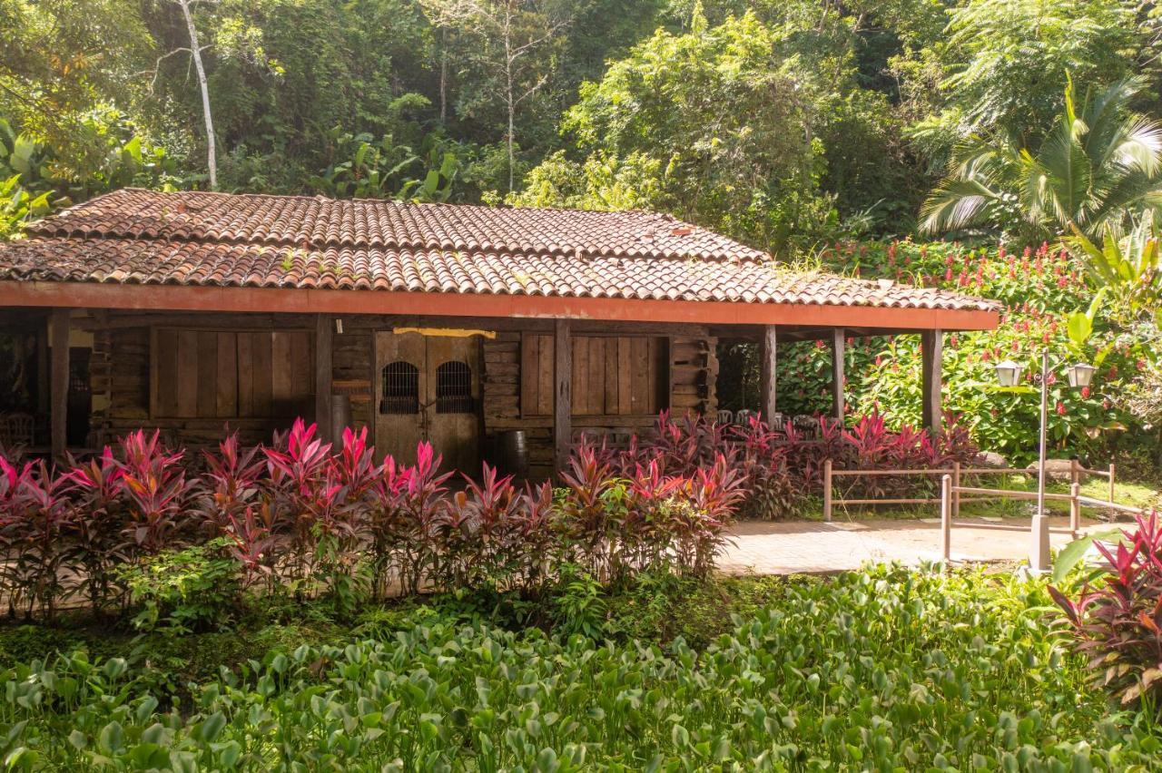 Villa Lapas Jungle Village Tárcoles Luaran gambar