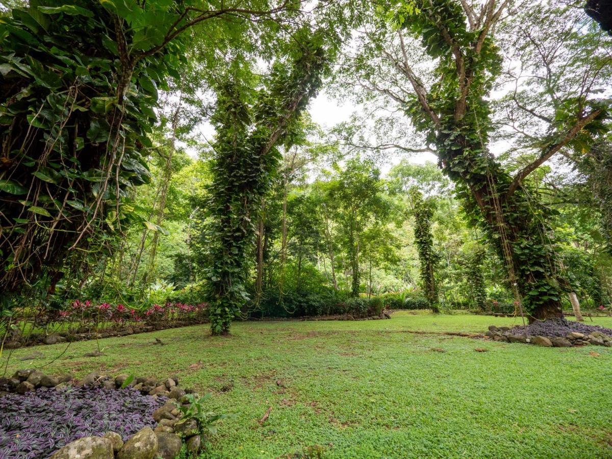 Villa Lapas Jungle Village Tárcoles Luaran gambar