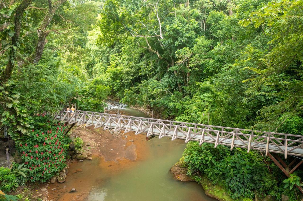 Villa Lapas Jungle Village Tárcoles Luaran gambar