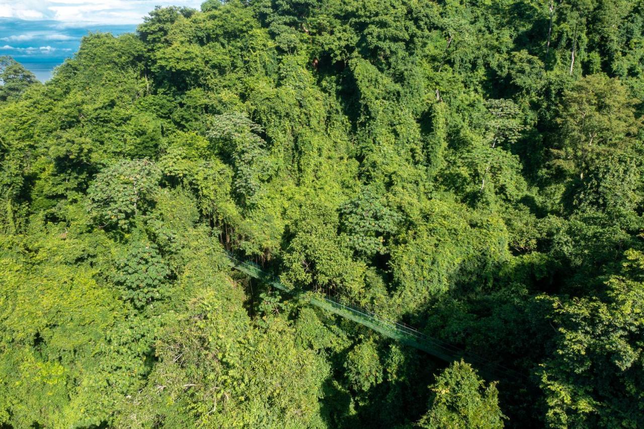 Villa Lapas Jungle Village Tárcoles Luaran gambar