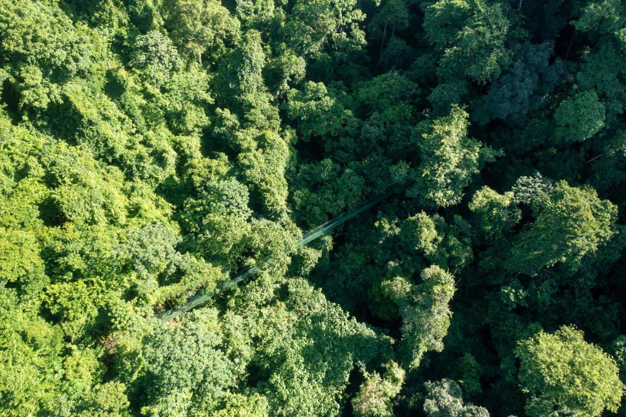Villa Lapas Jungle Village Tárcoles Luaran gambar