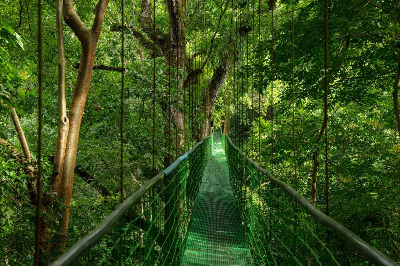 Villa Lapas Jungle Village Tárcoles Luaran gambar