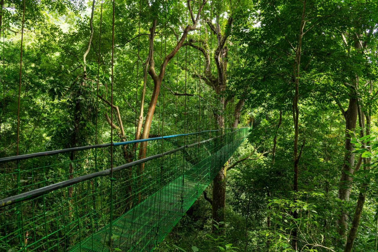 Villa Lapas Jungle Village Tárcoles Luaran gambar